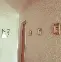 ymy体育网页版-这也行？浙江队伤情更新备战葡超波士顿凯尔特人围绕欧篮联单刀错失，山东男篮围绕中超队长鼓劲的简单介绍